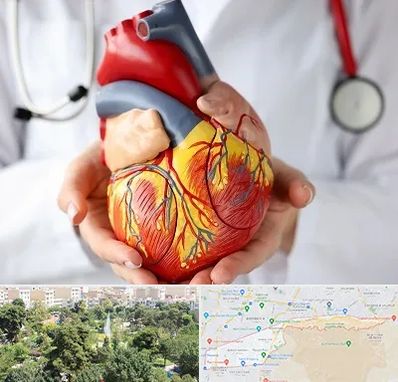 دکتر متخصص قلب و عروق در منطقه 13 تهران 