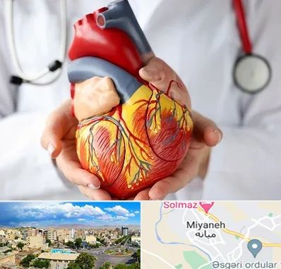دکتر متخصص قلب و عروق در میانه