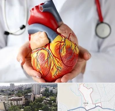 دکتر متخصص قلب و عروق در اوین