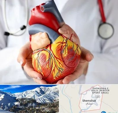 دکتر متخصص قلب و عروق در شمشک