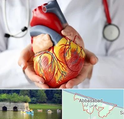 دکتر متخصص قلب و عروق در عباس آباد
