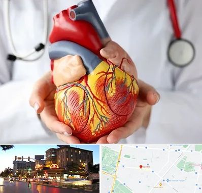 دکتر متخصص قلب و عروق در بلوار سجاد مشهد
