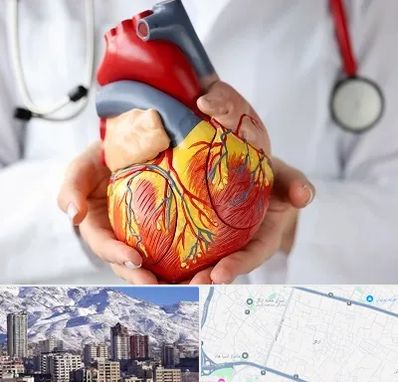 دکتر متخصص قلب و عروق در ازگل