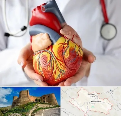 دکتر متخصص قلب و عروق در لرستان