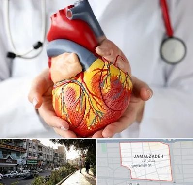 دکتر متخصص قلب و عروق در خیابان جمالزاده