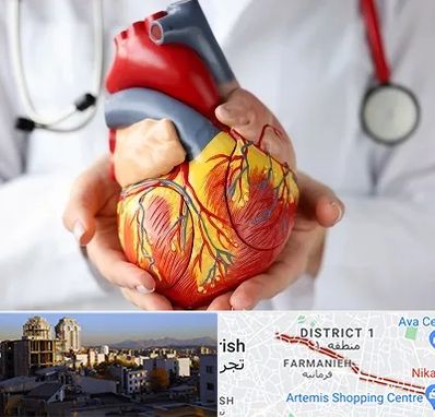 دکتر متخصص قلب و عروق در فرمانیه 