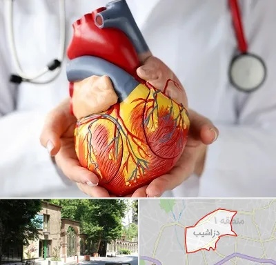دکتر متخصص قلب و عروق در دزاشیب