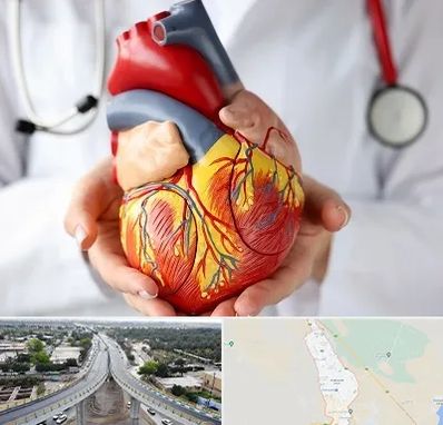 دکتر متخصص قلب و عروق در اندیمشک