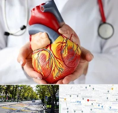 دکتر متخصص قلب و عروق در میرداماد