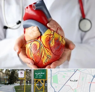 دکتر متخصص قلب و عروق در تهران ویلا