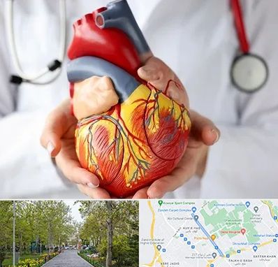 دکتر متخصص قلب و عروق در قدوسی غربی شیراز