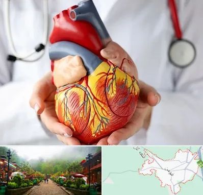 دکتر متخصص قلب و عروق در فومن