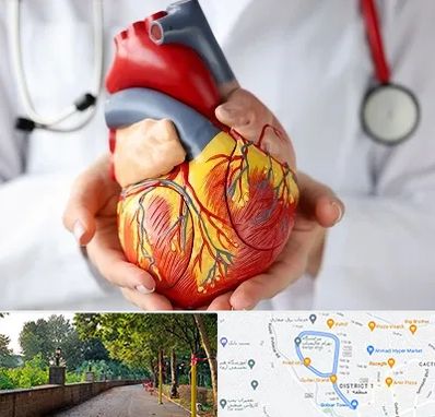 دکتر متخصص قلب و عروق در بلوار گیلان رشت