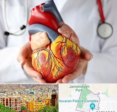 دکتر متخصص قلب و عروق در نیاوران 