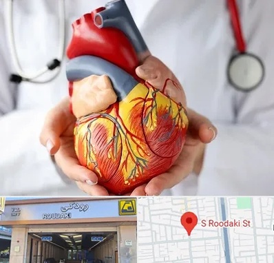 دکتر متخصص قلب و عروق در رودکی