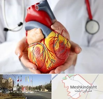 دکتر متخصص قلب و عروق در مشکین دشت