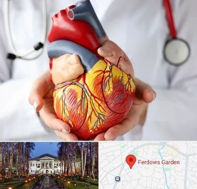 دکتر متخصص قلب و عروق در باغ فردوس