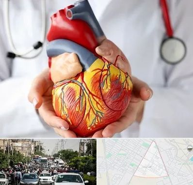 دکتر متخصص قلب و عروق در سیدی مشهد