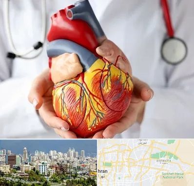 دکتر متخصص قلب و عروق در شرق تهران 