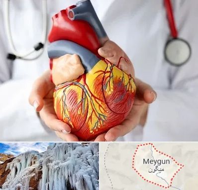 دکتر متخصص قلب و عروق در میگون