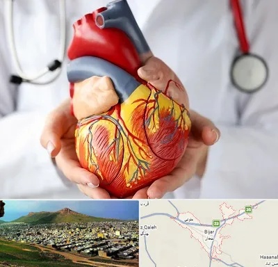 دکتر متخصص قلب و عروق در بیجار