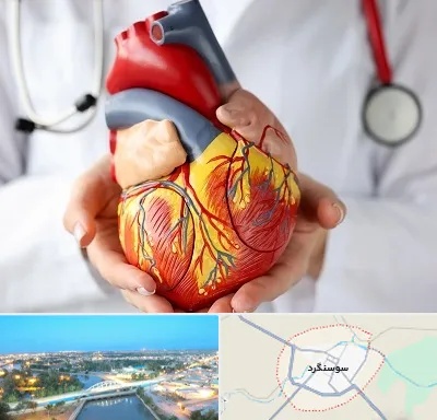 دکتر متخصص قلب و عروق در سوسنگرد