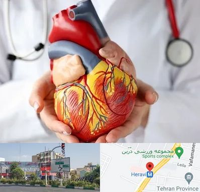 دکتر متخصص قلب و عروق در هروی 