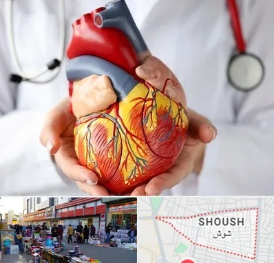 دکتر متخصص قلب و عروق در شوش