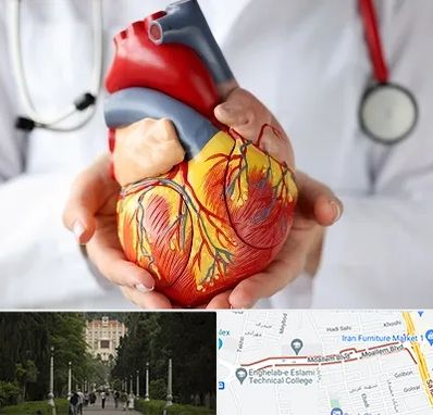 دکتر متخصص قلب و عروق در بلوار معلم رشت 