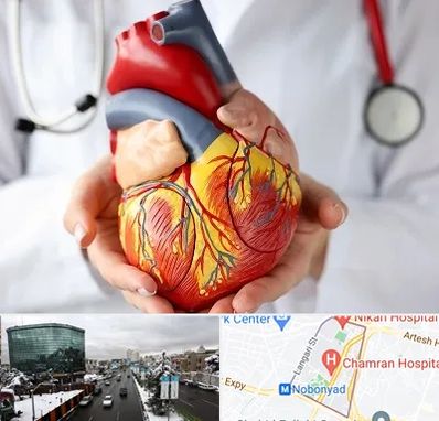 دکتر متخصص قلب و عروق در اقدسیه 