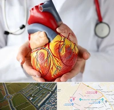 دکتر متخصص قلب و عروق در الهیه مشهد