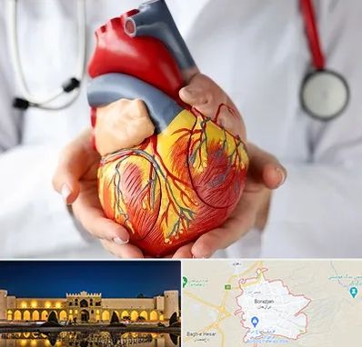 دکتر متخصص قلب و عروق در برازجان