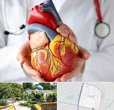 دکتر متخصص قلب و عروق در باغمیشه تبریز