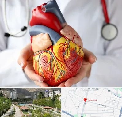 دکتر متخصص قلب و عروق در بلوار تعاون