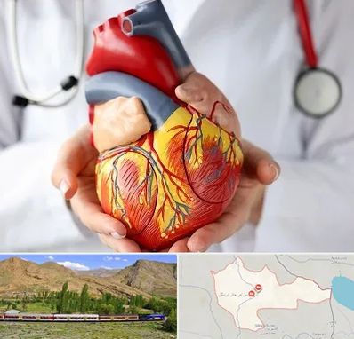 دکتر متخصص قلب و عروق در خاش