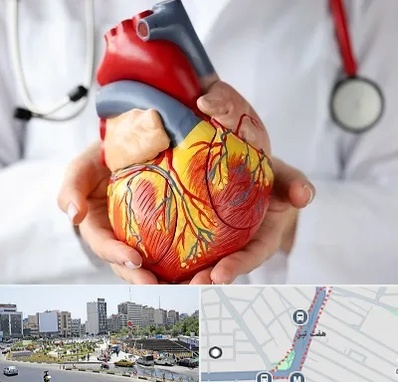 دکتر متخصص قلب و عروق در هفت تیر