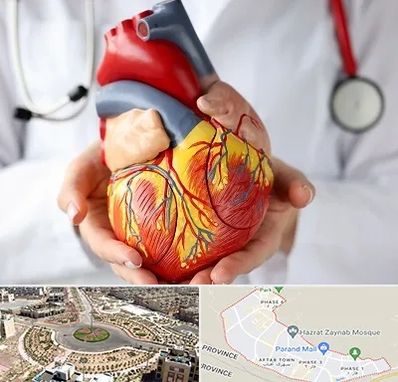 دکتر متخصص قلب و عروق در پرند