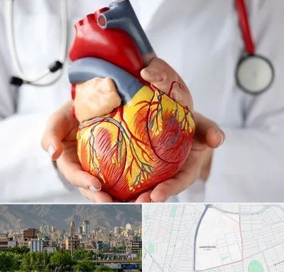 دکتر متخصص قلب و عروق در جمشیدیه