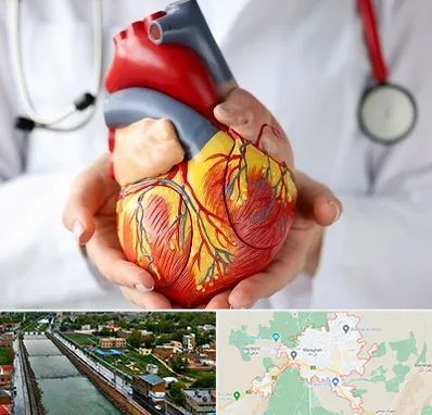 دکتر متخصص قلب و عروق در مراغه