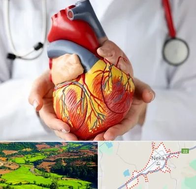 دکتر متخصص قلب و عروق در نکا