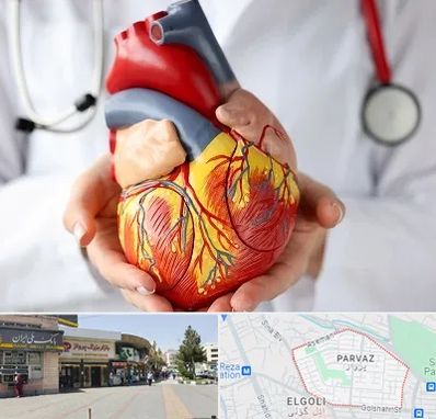 دکتر متخصص قلب و عروق در پرواز تبریز