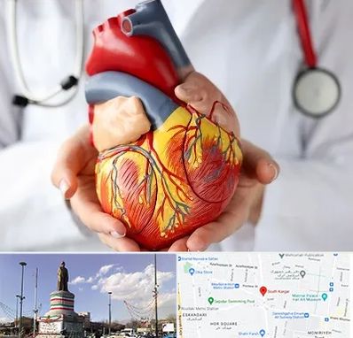 دکتر متخصص قلب و عروق در کارگر جنوبی