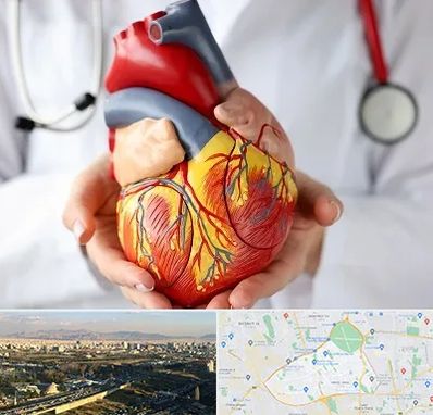 دکتر متخصص قلب و عروق در منطقه 19 تهران 