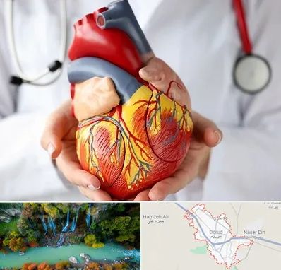 دکتر متخصص قلب و عروق در دورود