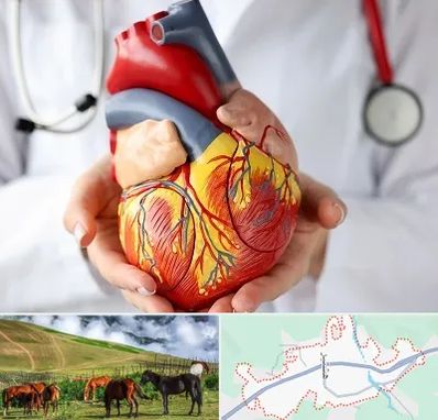 دکتر متخصص قلب و عروق در تالش