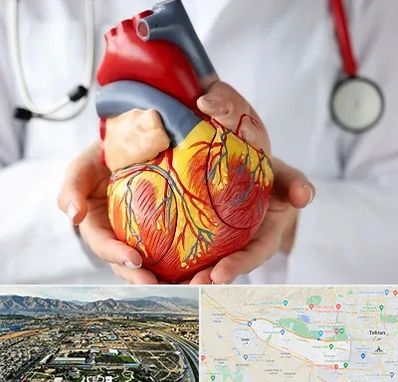 دکتر متخصص قلب و عروق در منطقه 21 تهران 