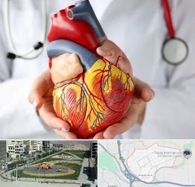 دکتر متخصص قلب و عروق در مرزداران تبریز