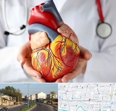 دکتر متخصص قلب و عروق در ضیابری رشت