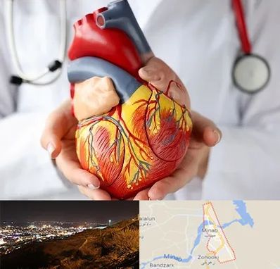 دکتر متخصص قلب و عروق در میناب