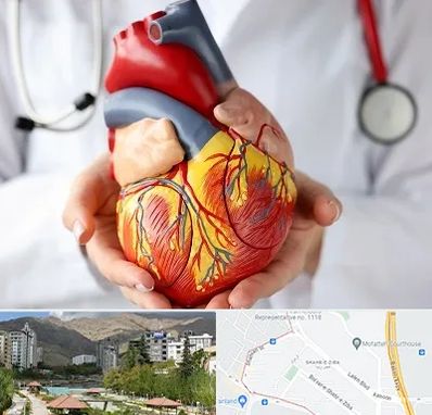 دکتر متخصص قلب و عروق در شهر زیبا